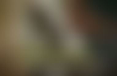 BSCA ประกาศผลผู้ชนะ Aroma BSCA – Certificações 2025/26