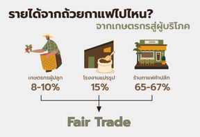 ขณะที่ราคากาแฟโลกกำลังพุ่ง ทำไม “Fair Trade” จึงยังมีความสำคัญด้วยระบบที่ยังเป็นตาข่ายนิรภัยให้เกษตรกรในวันที่ตลาดไม่แน่นอน