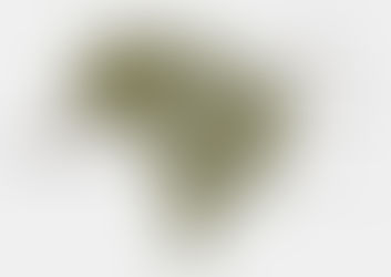 บราซิลขยายการปลูกกาแฟ Canephora ในพื้นที่ใหม่เมื่อการผลิตกาแฟโลกกำลังขยับจากอาราบิกาไปสู่ตลาด Canephora