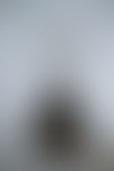 Farm to Cup : Specialty coffee & Art space