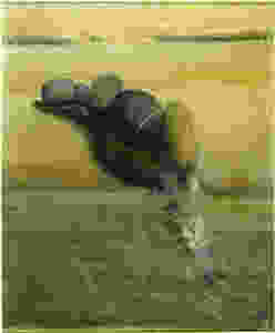 0d59d77ba08498bbb9faf505b86634d2.jpeg