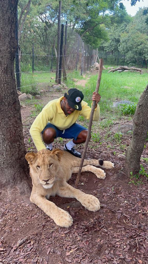 Founder getting cosy with lions