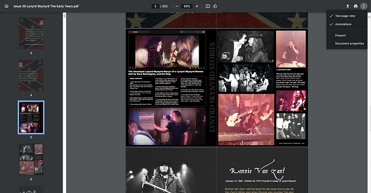 Lynyrd Skynyrd - Issue 35