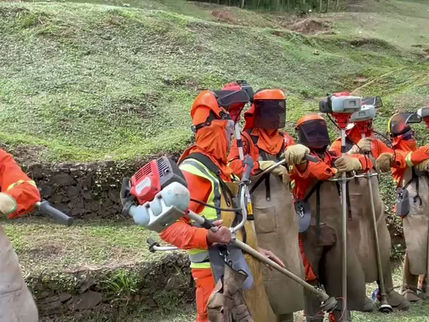 Poda y Rocería en Medellín