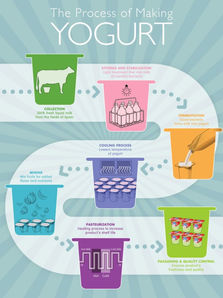 Process: yoghurt
