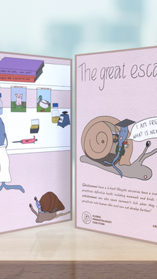 Schistosome Graduation Card