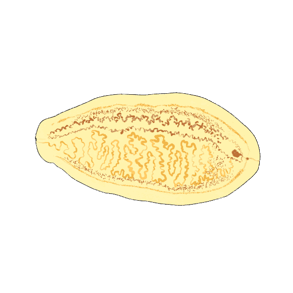 Untitled-3.gif