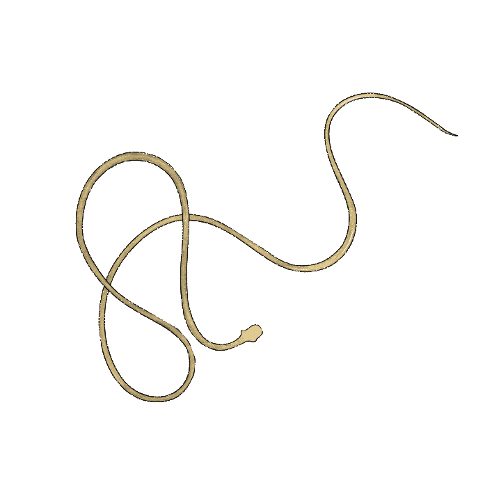 Untitled-2.gif