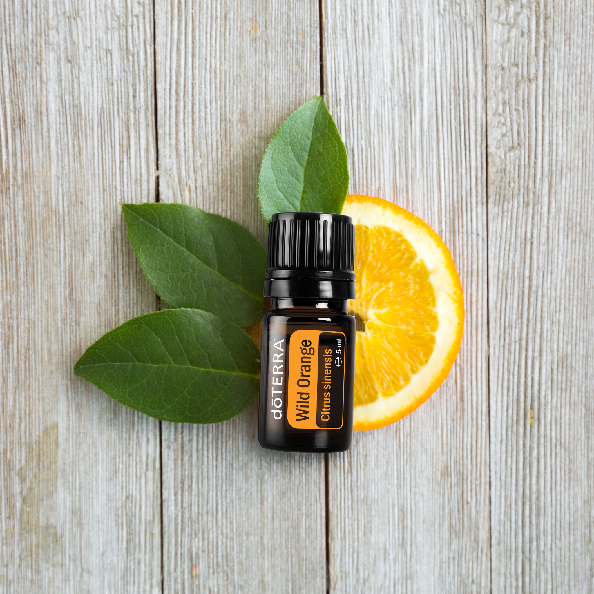 Wild Orange — style shot