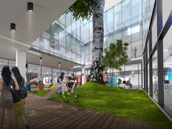 160531-View of Center Court.jpg