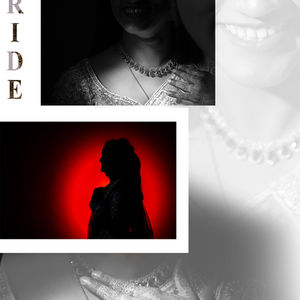 Dramatic Bridal Portraits