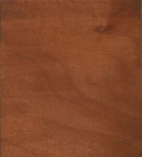 810 Camel Back