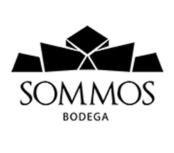 sommos-logo copia.jpg