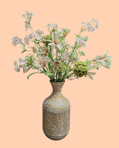 Spring (6).png