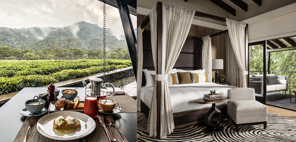 Thumbnail: One & Only Nyungwe House - Rwanda