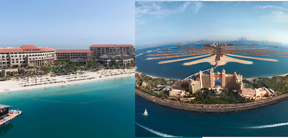 Thumbnail: Sofitel Dubai The Palm