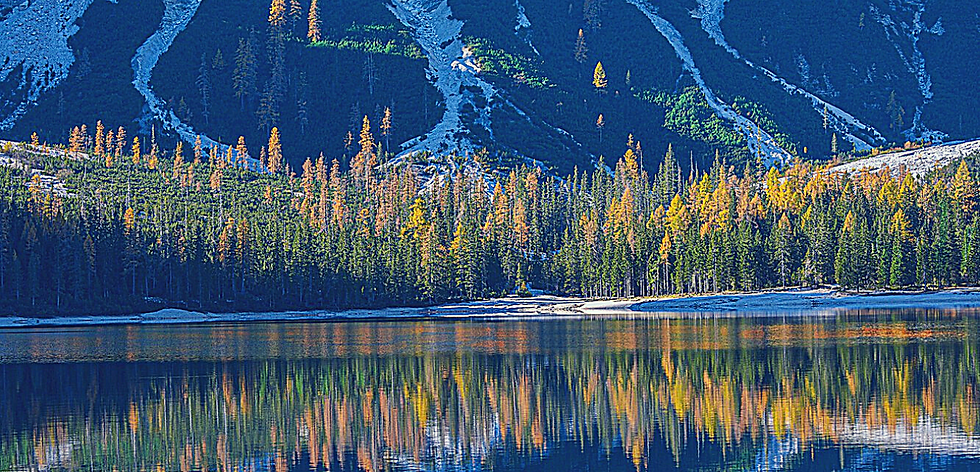 Thumbnail: Forestis Dolomites