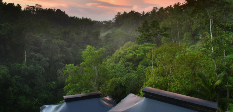 Thumbnail: Capella Ubud