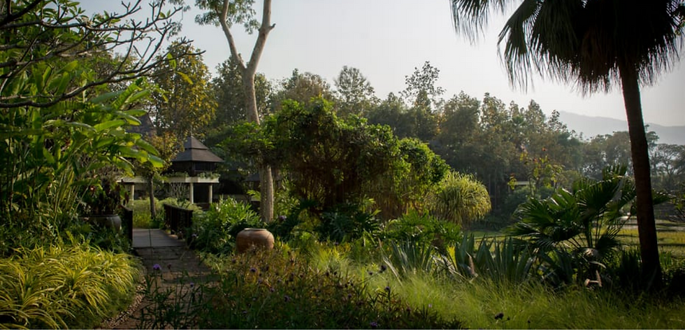 Thumbnail: Four Seasons Resort Chiang Mai