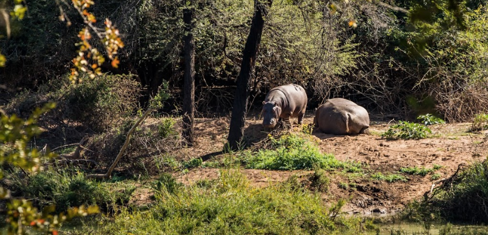 Thumbnail: Palala Boutique Game Lodge