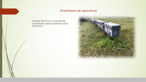 Diapositiva18
