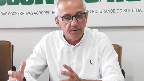 Rio Grande do Sul vive super safra de trigo e perdas nas culturas de verão em 2022
