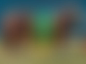 ABHB julga exemplares Braford na Expointer com destaque para a qualidade racial