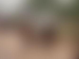 Cavaleiros estrangeiros se destacam em Marcha de Resistência do Cavalo Crioulo