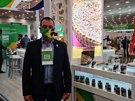 Federarroz participa de feira mexicana para mostrar arroz brasileiro