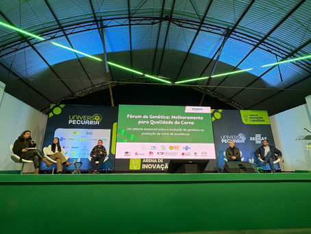 Quando o touro certo faz toda a diferença no resultado do campo