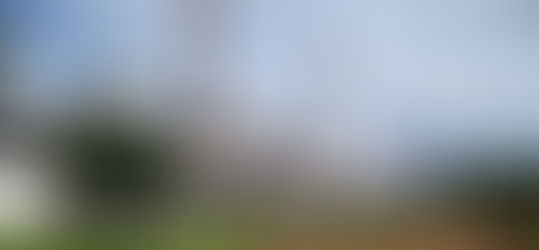 Cotrirosa inicia recebimento na unidade de São Paulo das Missões