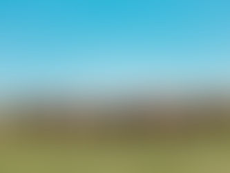 ABHB crava selo para marcar elite genética de Hereford e Braford