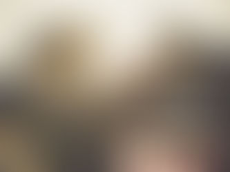 Exposição Passaporte de Campo Grande conta com um grande número de animais já confirmados