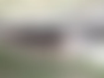 Raça Holandesa contará com 175 exemplares na Expointer deste ano