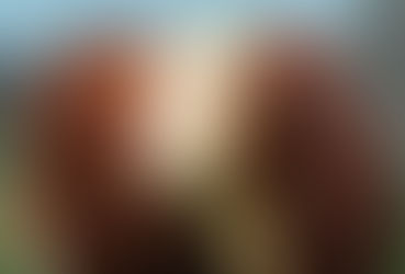 Nacional Hereford e Braford: evento entra com mercado já em valorização