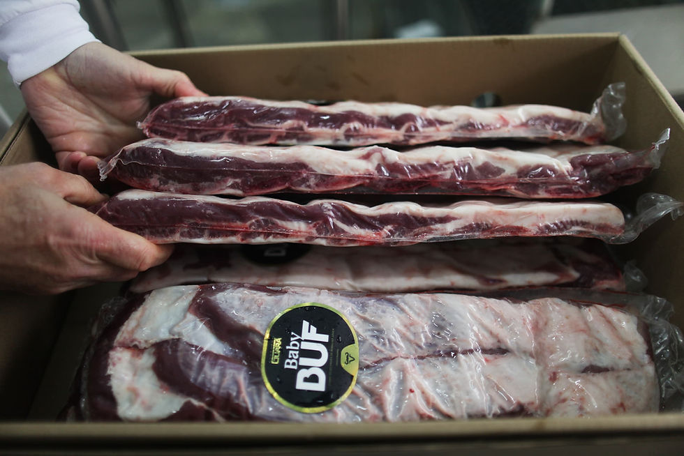 Carne suculenta e saudável: búfalo vira estrela em açougue de Porto Alegre