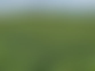 Agro: bioinsumos avançam e entram em fase de consolidação