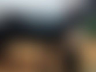 Leilão de búfalos na Expointer atrai compradores de várias regiões do Brasil
