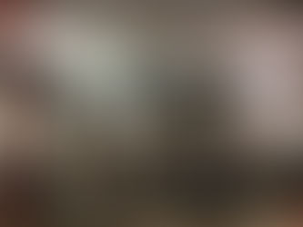 Leilões de Outono apresentam liquidez e alta valorização da pecuária