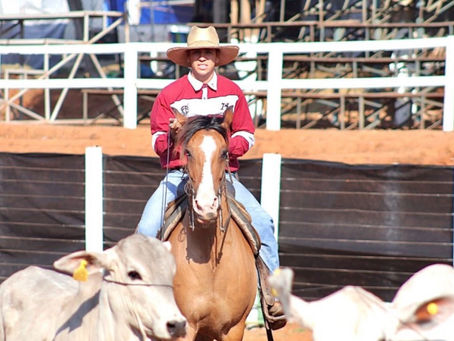 Cresce em 45% número de participantes em eventos do Cavalo Crioulo nas regiões de expansão