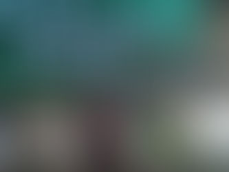 Carne em alta: 35% da produção vai para exportação e puxa preços