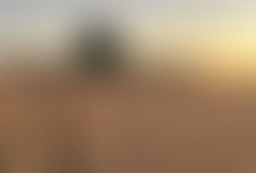 Estiagem, dívida e crédito travado: o retrato da agricultura em 2025