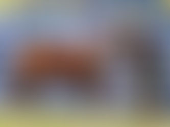 Passaporte em Guarapuava apresenta novos finalistas da Morfologia Expointer