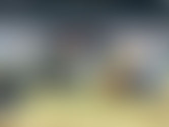 Reprodução em foco: curso da ABHB expõe impacto no rebanho