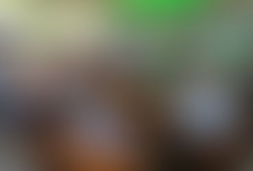 Rastreabilidade e ILP colocam a pecuária no centro do debate do arroz