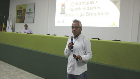 Resultado é a palavra chave na produção de trigo no Rio Grande do Sul
