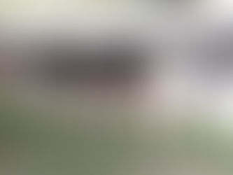 Gado Holandês contará com 140 exemplares na Expointer 2021