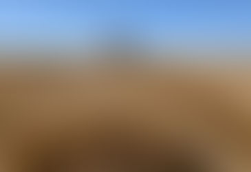 Safra de trigo avança no Rio Grande do Sul com alerta para baixa rentabilidade do produtor