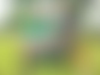 Da Serra do Mar ao Pampa, a jornada que levou um ovino à pista na Agrovino