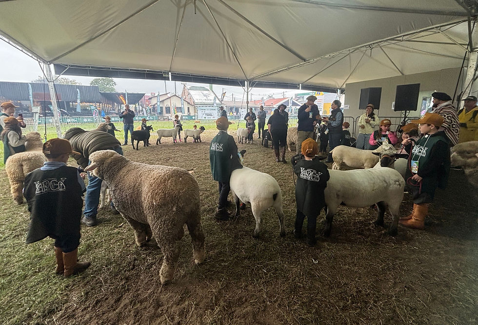Evento da Arco e da Comissão Jovem reuniu famílias na Expointer com atividades que integraram novas gerações ao campo e destacaram a importância da ovelha para a economia gaúcha (Foto: Stéphany Franco/AgroEffective)